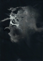 http://www.actionaqua.com/files/gimgs/th-119_amsterdam 103invert.jpg
